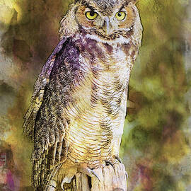 Great Horned Owl Autumn Abstract by Sharon McConnell