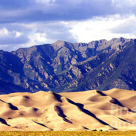 Great Sand Dunes National Park by Douglas Taylor