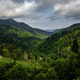 Great Smoky Mountains 1 by Michael Hills