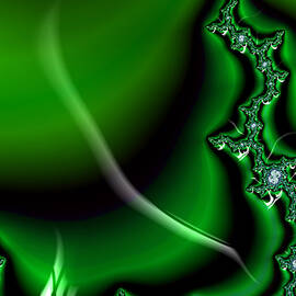 Green Fractal Borealis  by Shelli Fitzpatrick