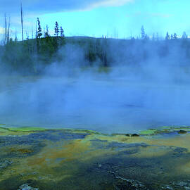 Green Spring Yellowstone National Park by Jeff Swan