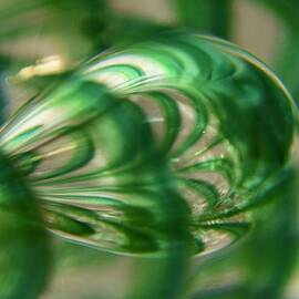 Green Teardrop  by Neil R Finlay