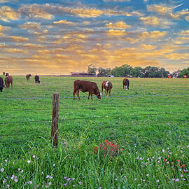 Greener Pastures by Lynn Bauer