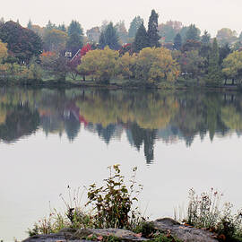 Greenlake Seattle Autumn colour reflections by Alison A Murphy