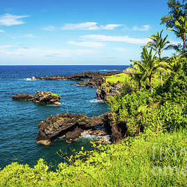 https://render.fineartamerica.com/images/images-new-artwork/images/artworkimages/medium/3/hana-hawaii-sea-arch-at-waianapanapa-state-park-paul-velgos.jpg