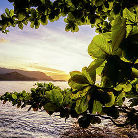 Pu'u Poa Sunset by Christopher Johnson