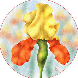 Hand-Drawn Bearded Iris Floral Art in Vibrant Watercolor Style by Snow Iris Studio