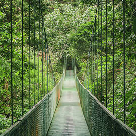 Hanging Bridge in the Cloud Forest by Nicklas Gustafsson