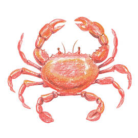 Happy Red Orange Watercolor Crab