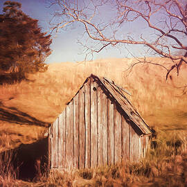 Happy Trees Happy Shed by Jim Love