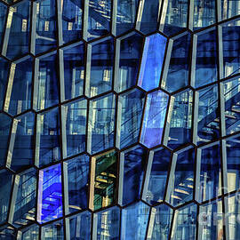 HARPA CONCERT HALL by Doug Sturgess