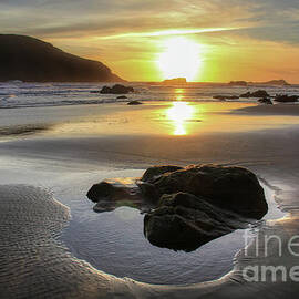 Harris Beach Tidepool by Michele Hancock Photography