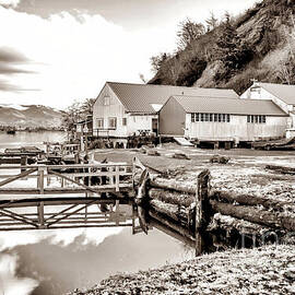 Harris Oyster Plant - Sepia by Jack Andreasen