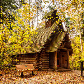 Hartwick Pine Chapel In The Old Growth Forest by Ron Wiltse