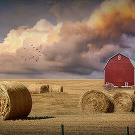 Harvest Time with Hay Bales in Farm Field with Red Barn by Randall Nyhof