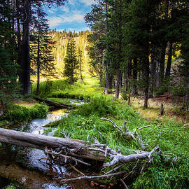 Hat Creek Paradise by Mike Lee