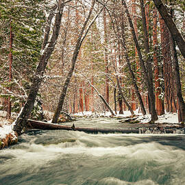 Hat Creek Winter Wonderland by Mike Lee