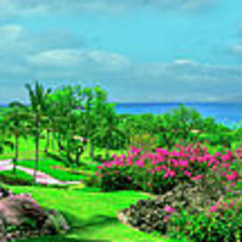 Hawaii Wailea Golf Panorama by David Zanzinger