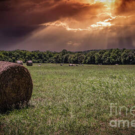 Hay Field by Mitch Shindelbower