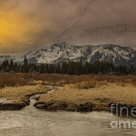 Heading South by Mitch Shindelbower