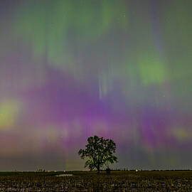 Heart-shaped Box by Aaron J Groen