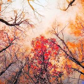 Heavenly Day - Autumn by Elizabeth Pennington