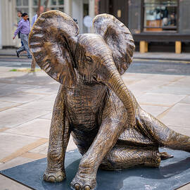 Herd of Hope Elephants by Raymond Hill