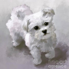 Here Comes The Puppy In Black And White by Lois Bryan