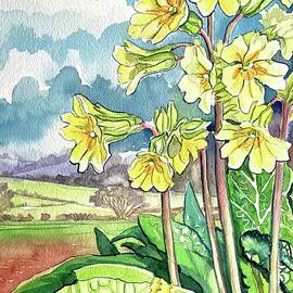 Herefordshire Primroses by Luisa Millicent