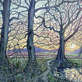 Herons Wood by Luisa Millicent