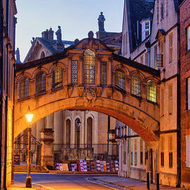Hertford bridge at Twilight in December by Tim Gainey