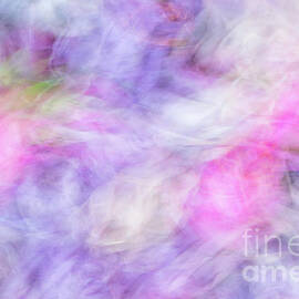 Hibiscus flowers abstract by Chris De Blank