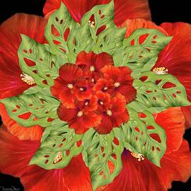 Hibiscus Mandala by Teresa Wilson
