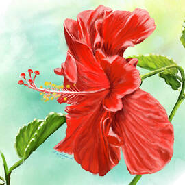 Hibiscus Watercolor by Gary F Richards