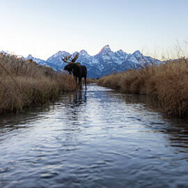 Hidden gems  by Peter Mangolds