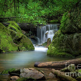 Hidden Waterfalls by Shelia Hunt