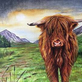 Highland Cow by Anne Park