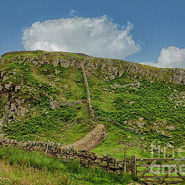 Hiking path near Hadrian's wall by Patricia Hofmeester