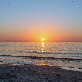 Hilton Head Island Morning Sunrise with Seagulls by Steve Rich