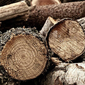 HOME SWEET HOME - Fire wood logs, Sweden,  by Tatiana Bogracheva