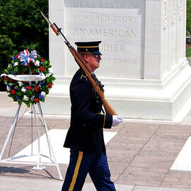 Honor Guard, Tomb Of The Unknown Soldier, Arlington, Virginia by Douglas Taylor
