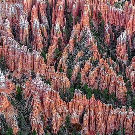 Hoodoo Maze At Bryce Point by Angelo Marcialis