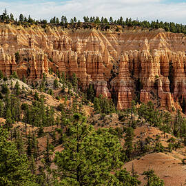 Hoodoos of Bryce Canyon by Leslie Struxness