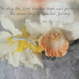 Hope and Spring by Terry Davis