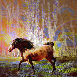 Horse Dreams by Patricia Keller