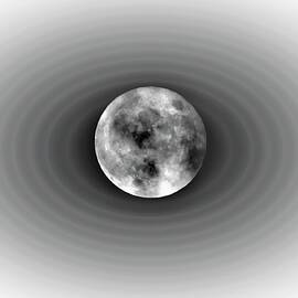 Hunter's Moon Vignette by Karen Largent