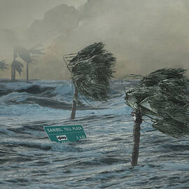 Hurricane Ian's Toll by Spadecaller
