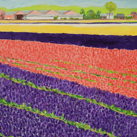 Hyacinth fields by Anthony Van Gelder