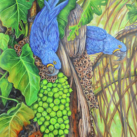 Hyacinth Macaws Eating Acuri Palm Nuts by Kristen Olson Stone