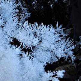 Ice Crystals by Tod Navarro